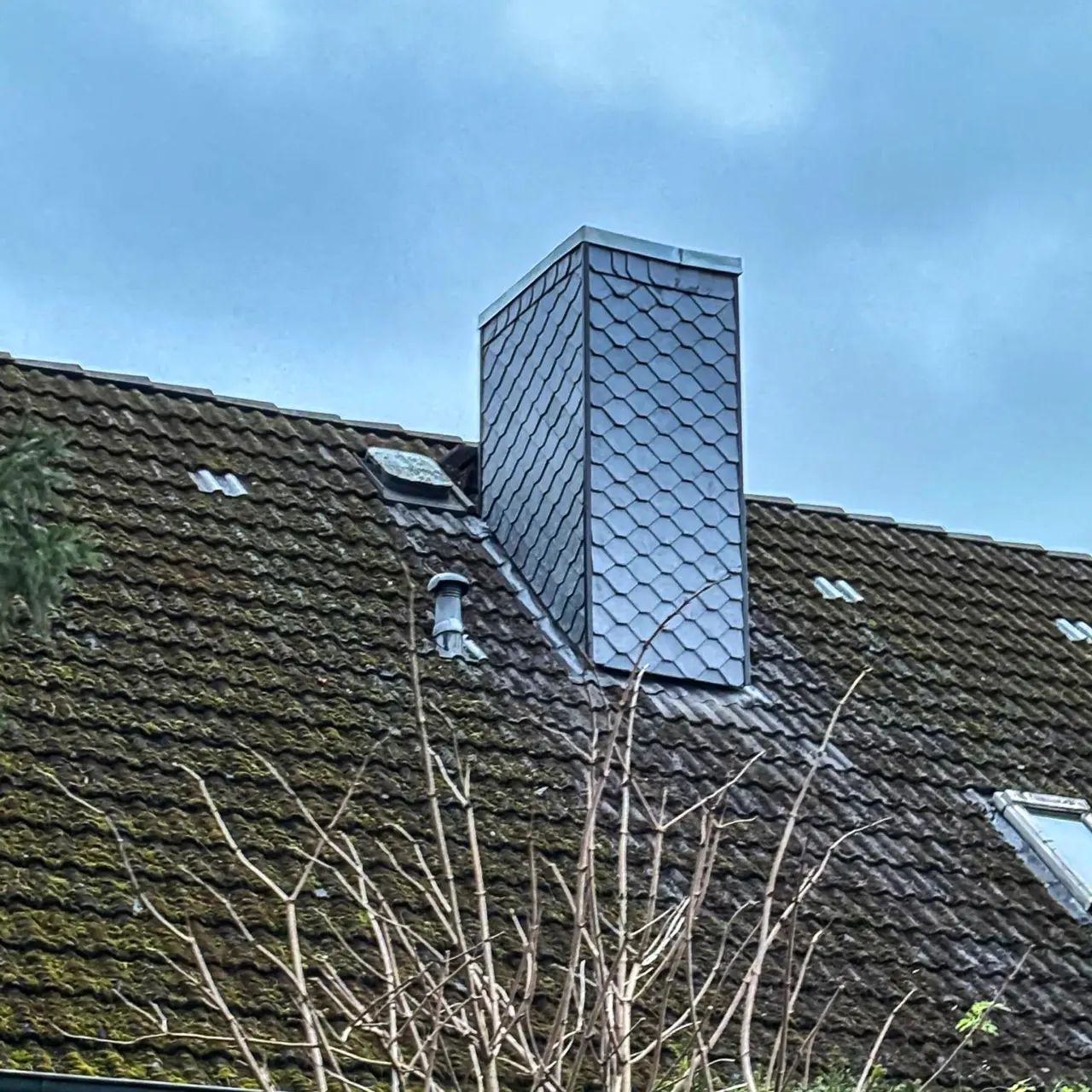 Neueindeckung Reetdach